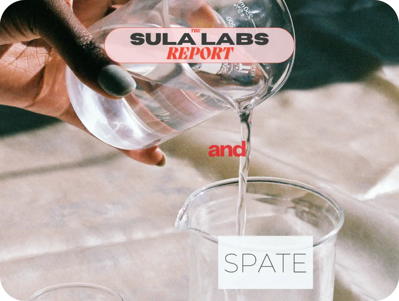 The SULA LABS Report